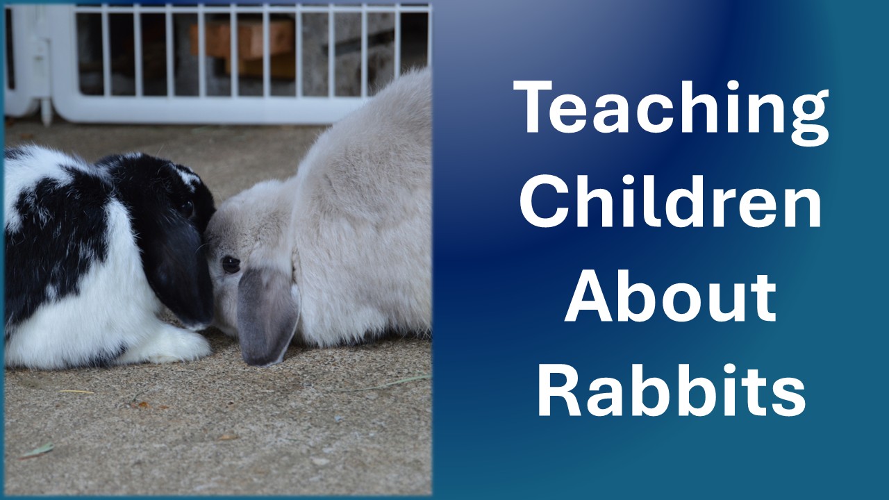 Preparing Your Child for a Rabbit